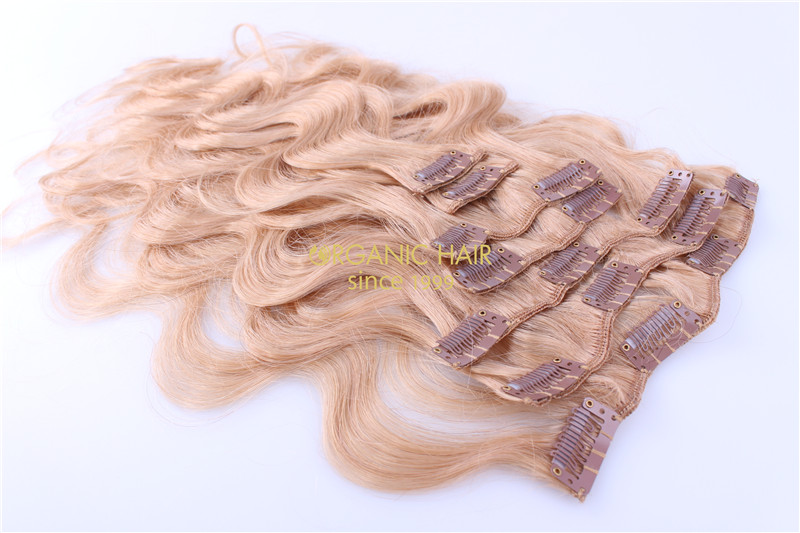 cheap clip on hair extensions remy hair clip ins